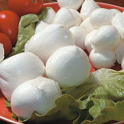 The buffalo's mozzarella 